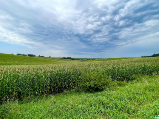 TBD OLD HWY 141, SERGEANT BLUFF, IA 51054 - Image 1